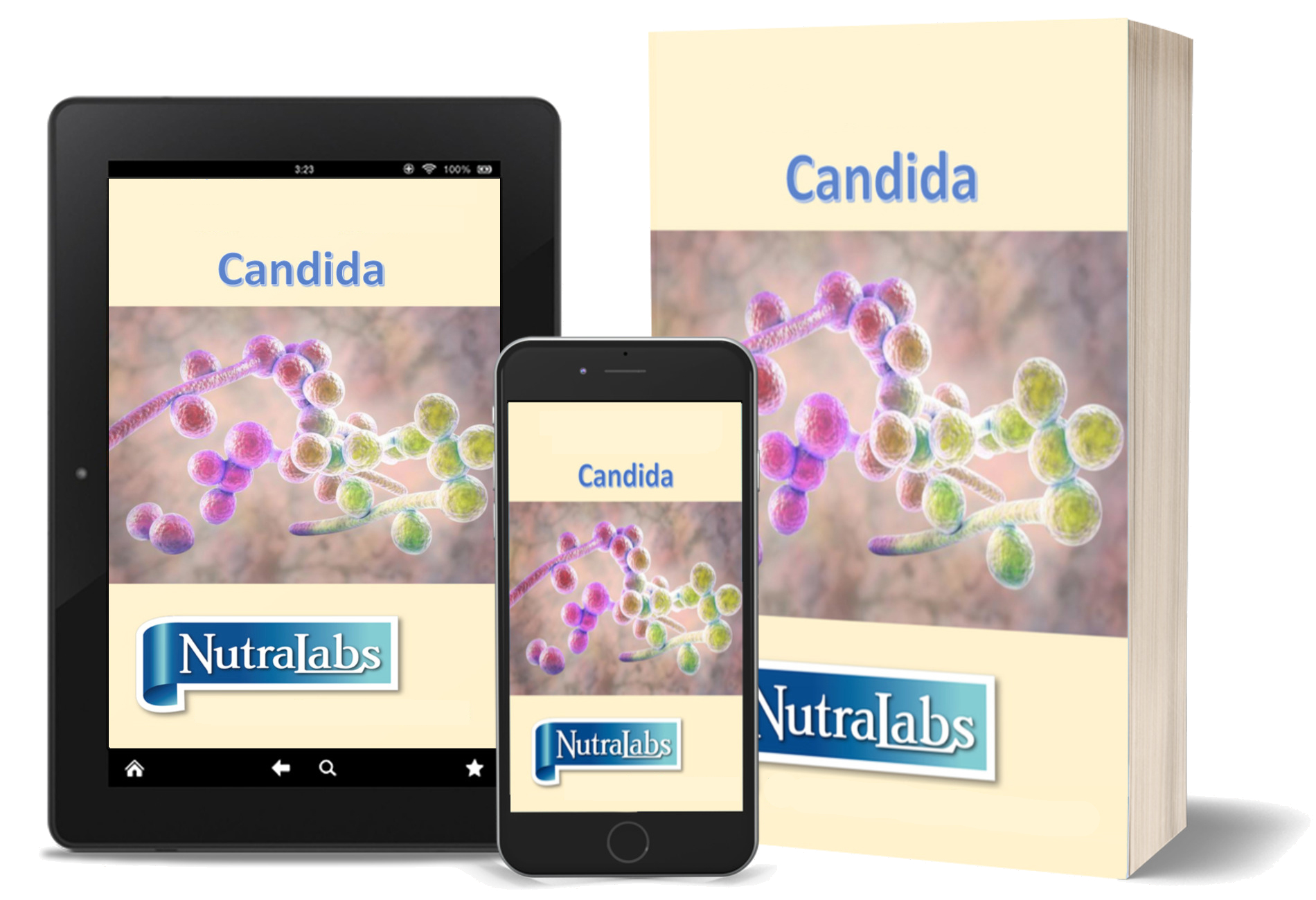 Candida-Candierbe
